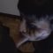 Horror Christian Charity – Goth Girl Perfect Blowjob for Halloween FullHD 1080p