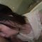 [MUCD-270] Sick Kawa System Idol Love Hotel Secret Meeting Video Highlights Vivid Cosplay Exposing Instincts X Off Paco SEX 4 Hours – MUCD-270